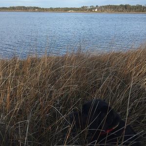 Meet your Posher, Martin